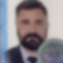 Минин Алексей Валерьевич