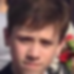 Gornostaev Egor Dmitrievich