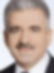 Дёмин Сергей Анатольевич