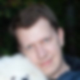 Недзвецкий Никита Валентинович