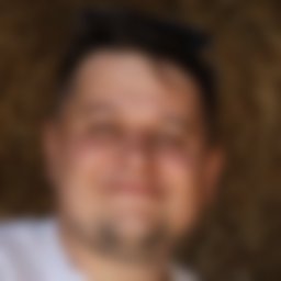 Perlin Aleksandr Evgen'yevich