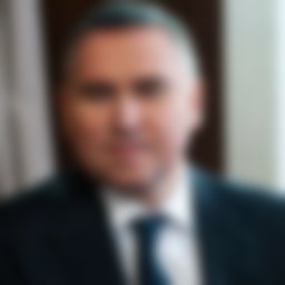 Сироткин Михаил Владимирович