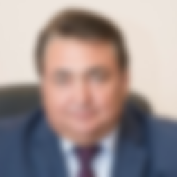 Сластенин Владимир Владимирович