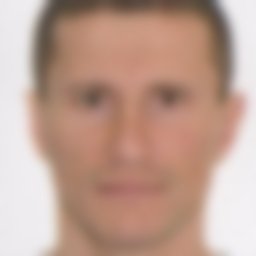 Pavlyuchenko Andrey Yur'yevich