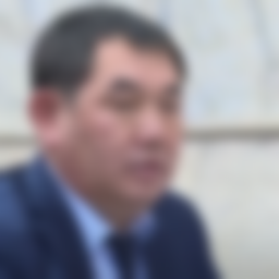 Мамасадыков Султан Алайбекович