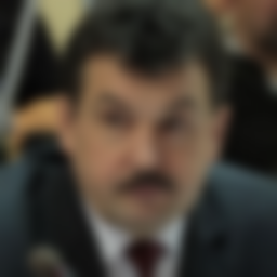 Arkhitskiy Andrey Georgievich