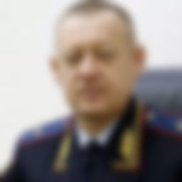 Domashev Vladimir Egorovich