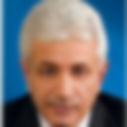 Чернер Анатолий Моисеевич
