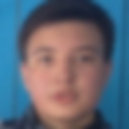 Безруких Денис Дмитриевич