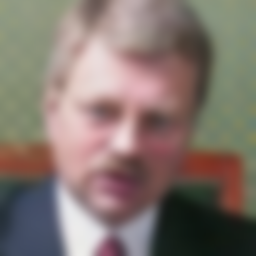 Gorbatsevich Pavel Igorevich