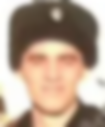 Шелест Андрей Романович
