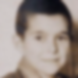 Gulko Vladimir Vasil'yevich