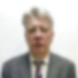 Evseev Mikhail Adamovich