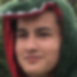 Deev Nikita Vadimovich