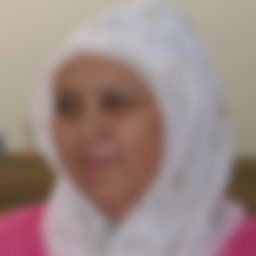 Abdullina Saniya Faridovna
