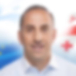 Оболашвили Антон 