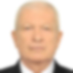 Вострилов Александр Викторович