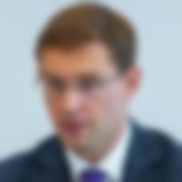 Турлов Тимур Русланович