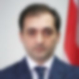 Gamezardashvili Georgiy 