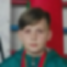 Шпилевский Сергей Алексеевич