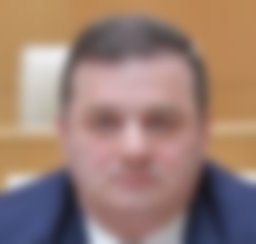 Kereselidze Shalva 