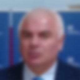 Гоголадзе Шалва 