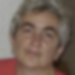 Gorbik Tatyana Nikolaevna