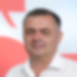 Шеразадишвили Давит 